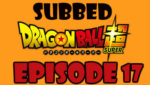 Dragon Ball Super Episode 17 Subbed in English Online Free Watch